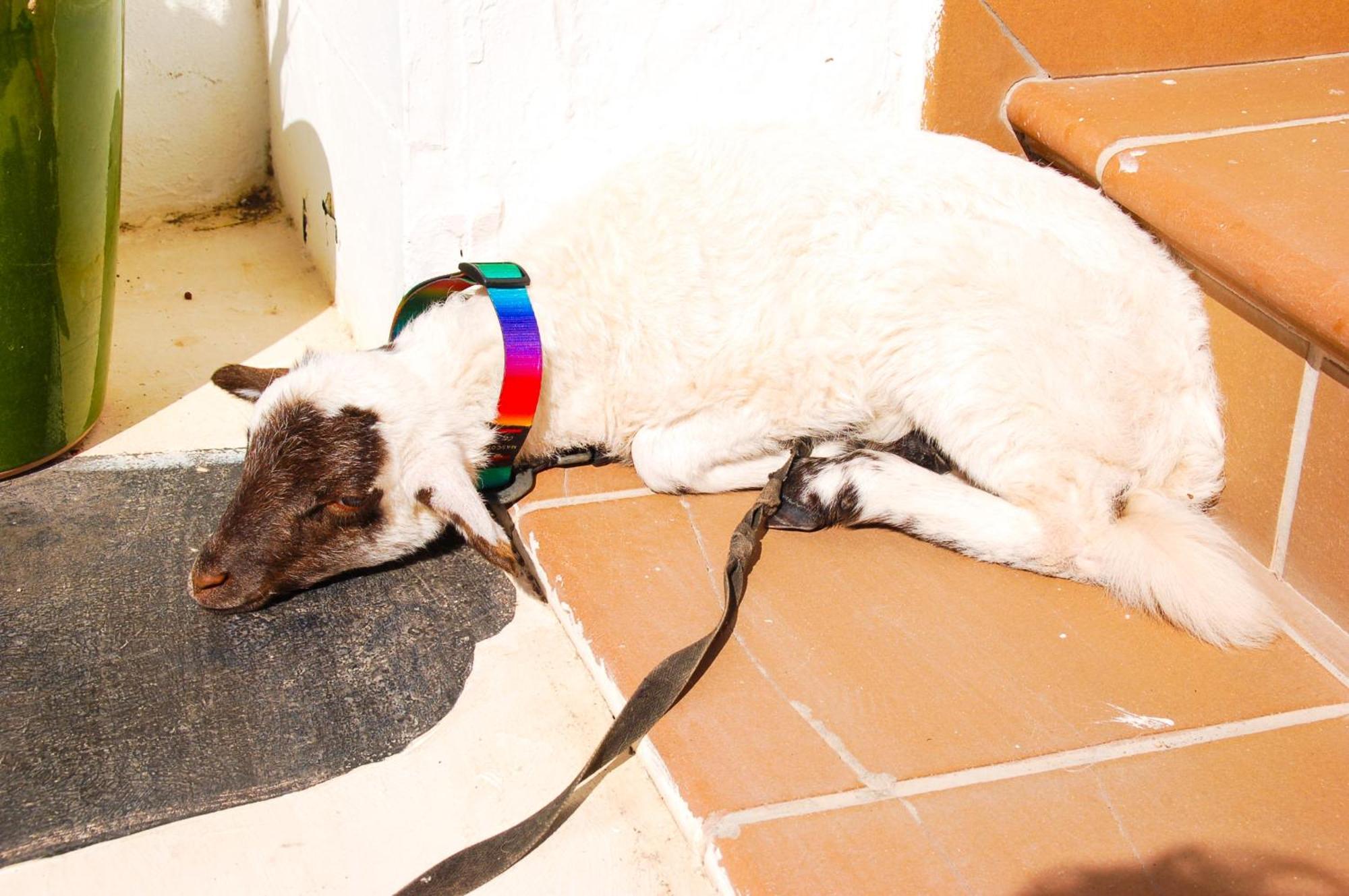 Casa Rural Ga7Colores Only Adult Montana Blanca Экстерьер фото